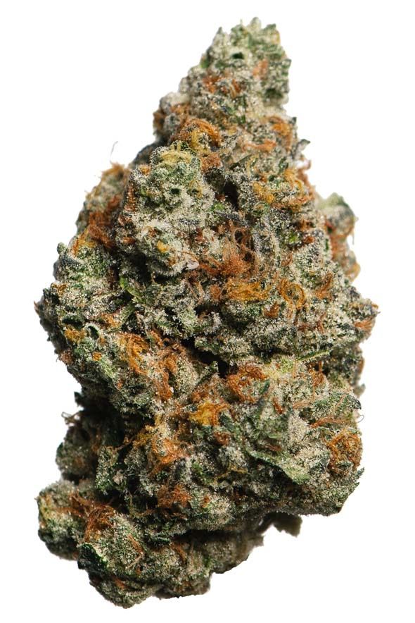 Biscotti, Weight: 3.5