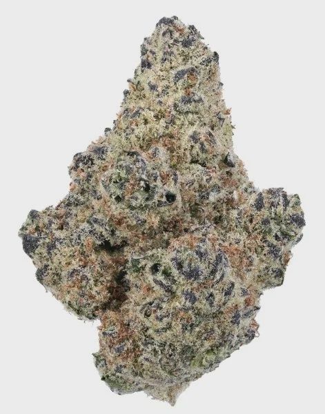 Northern Lights