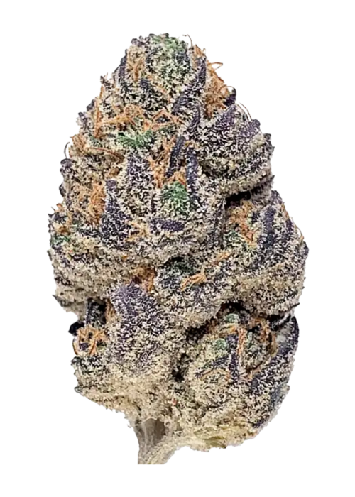 Acai Gelato