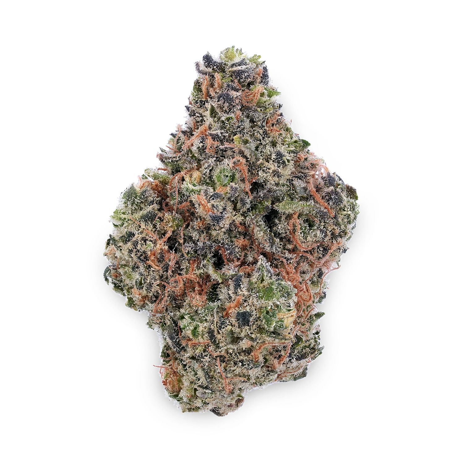 Acapulco Kush