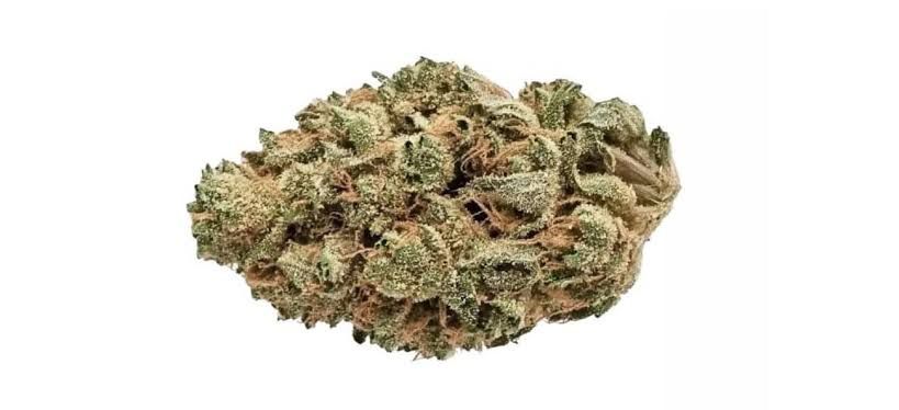 Sour Chiesel