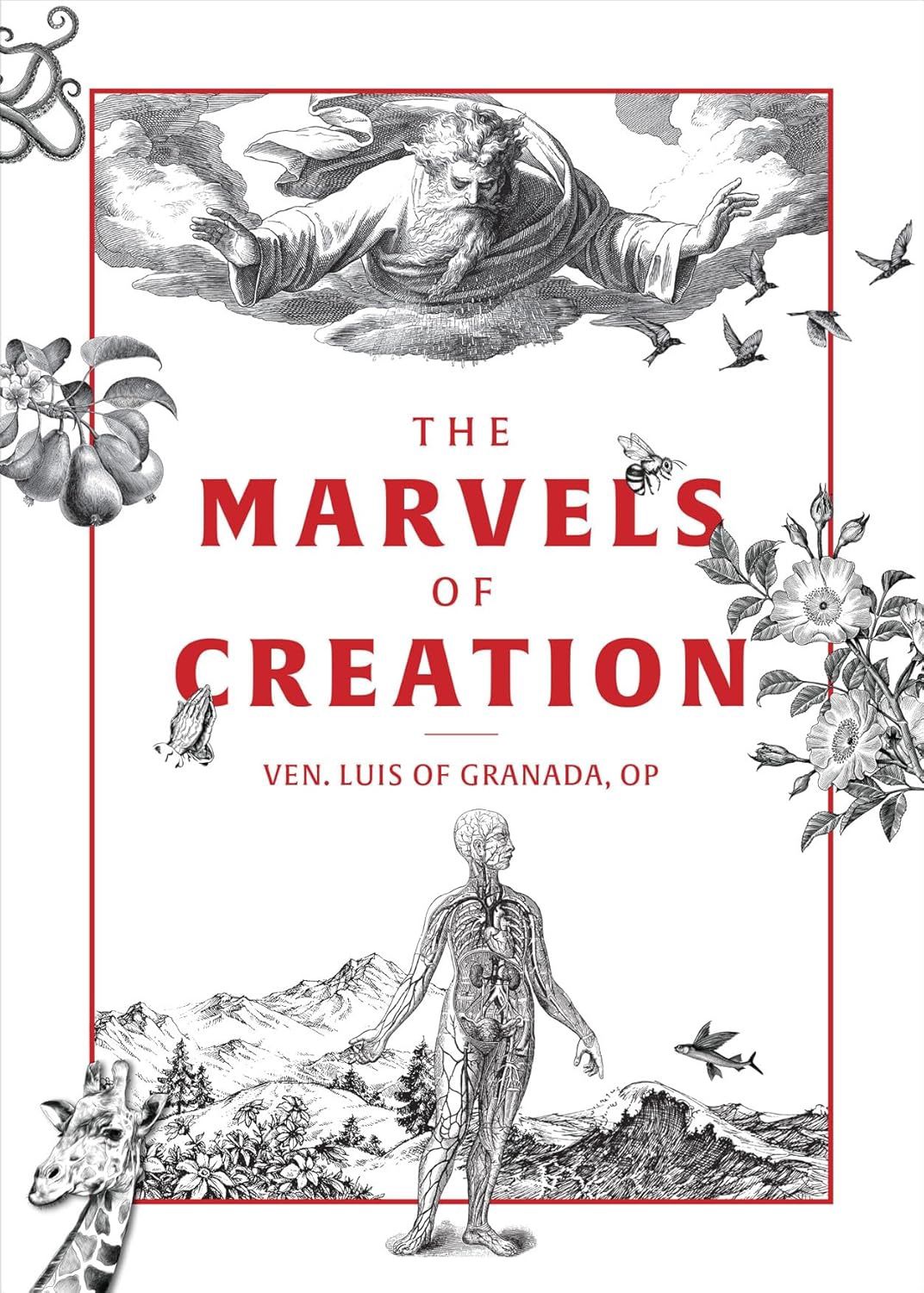 The Marvels of Creation, by Ven. Luis of Granada
