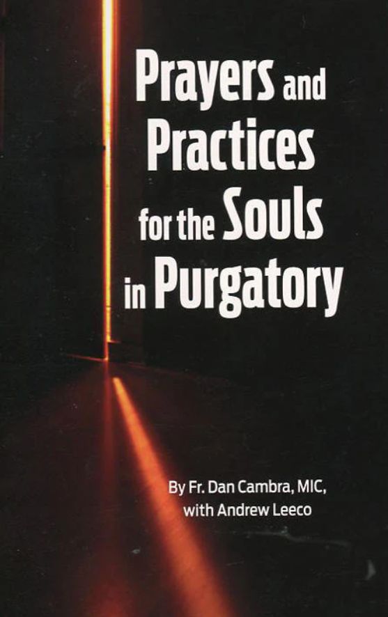 Prayers and Practices for the Souls in Purgatory, by Fr. Dan Cambra with Andrew Leeco