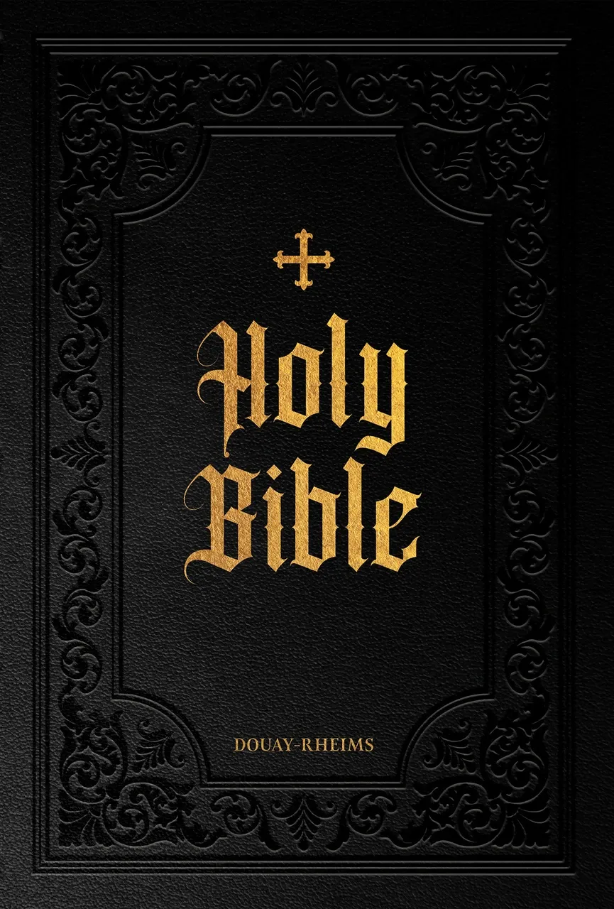 Douay-Rheims Bible (Deluxe Large Print)(TAN)