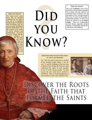 Did You Know?: Discovering the Roots of the Faith that Formed the Saints, by Lisa Bergman (Paperback)