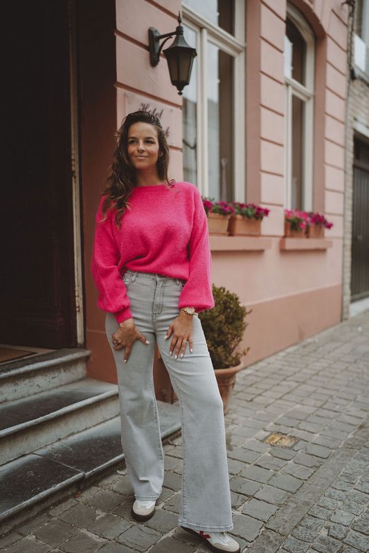 SC Wide Leg Jeans Grey (42)