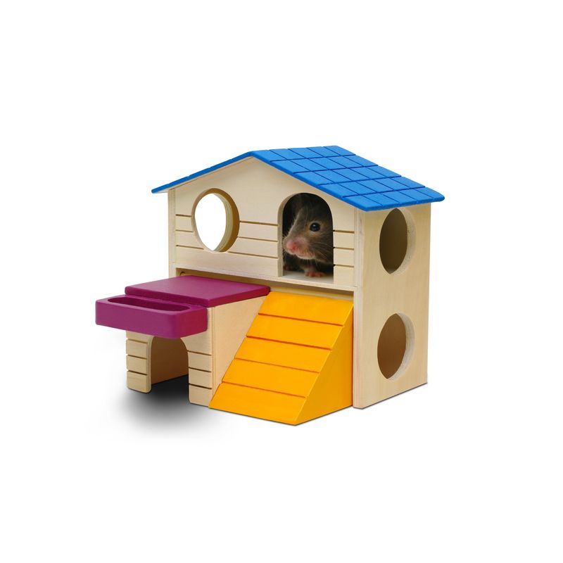 LW | Play House