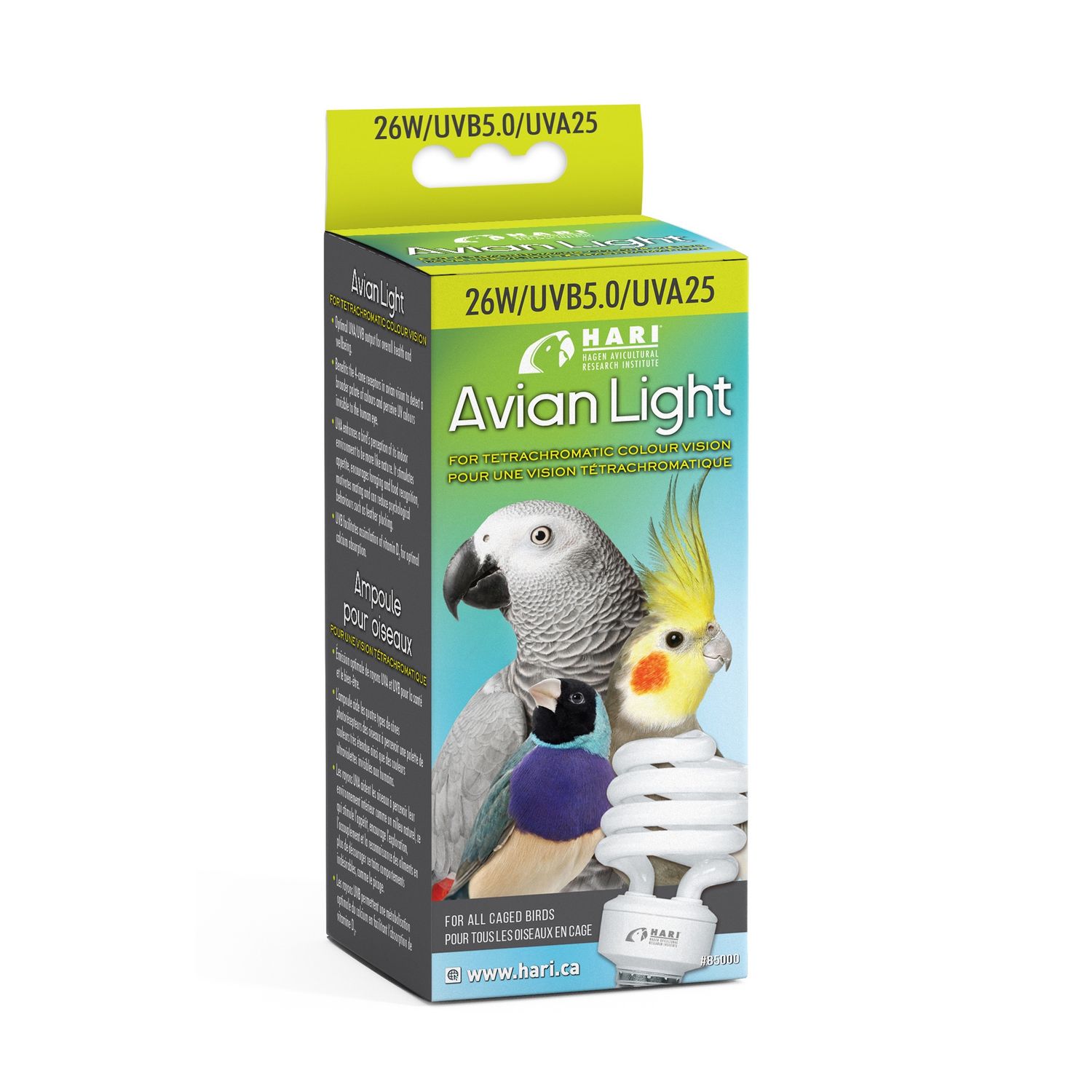 H | Avian Light Bulb | 26w