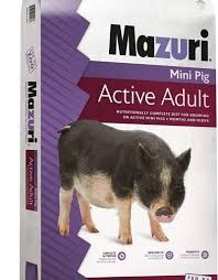 M | Mini Pig Adult food