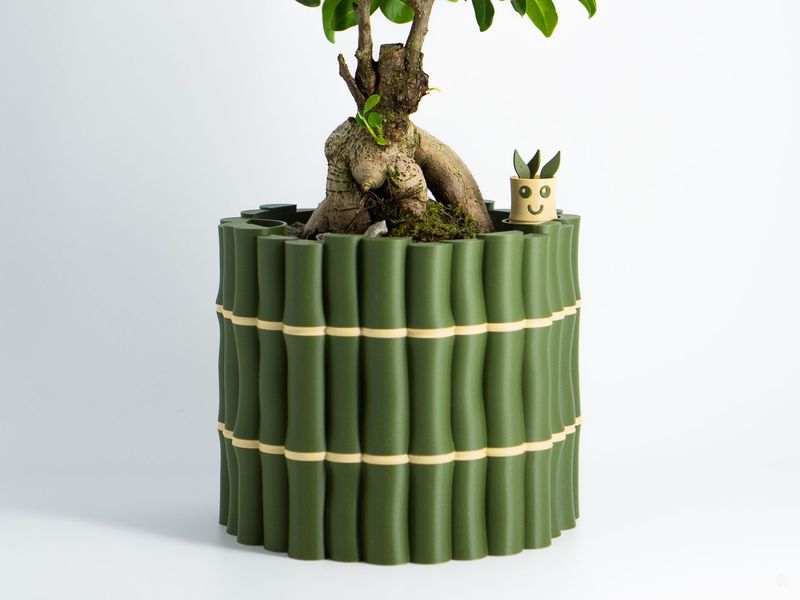 Plant Lovers
