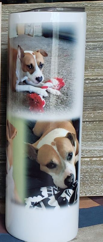 20 oz Stainless Photo Tumbler