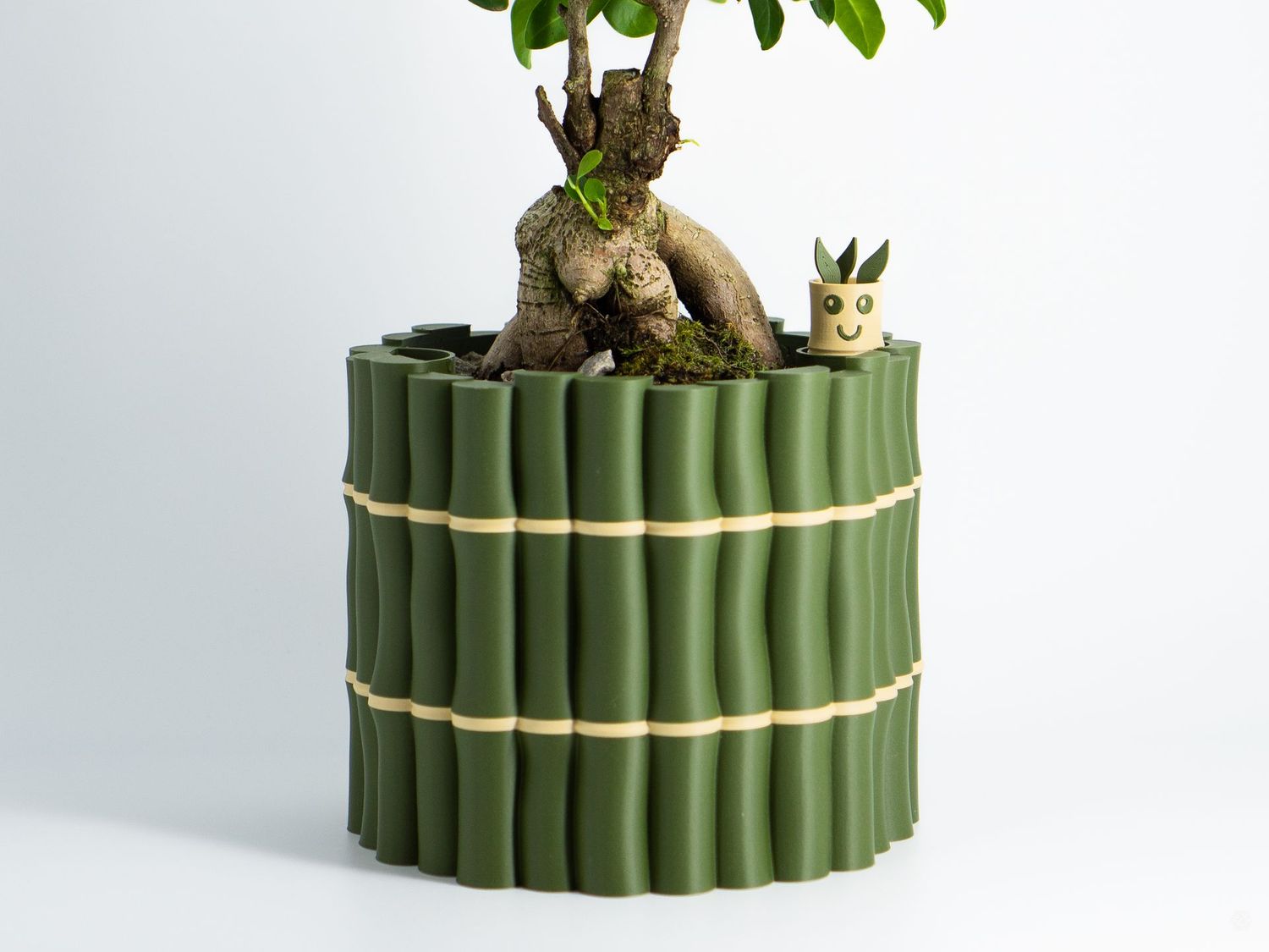 Self Watering Planter - Bamboo with Water Level Buddy