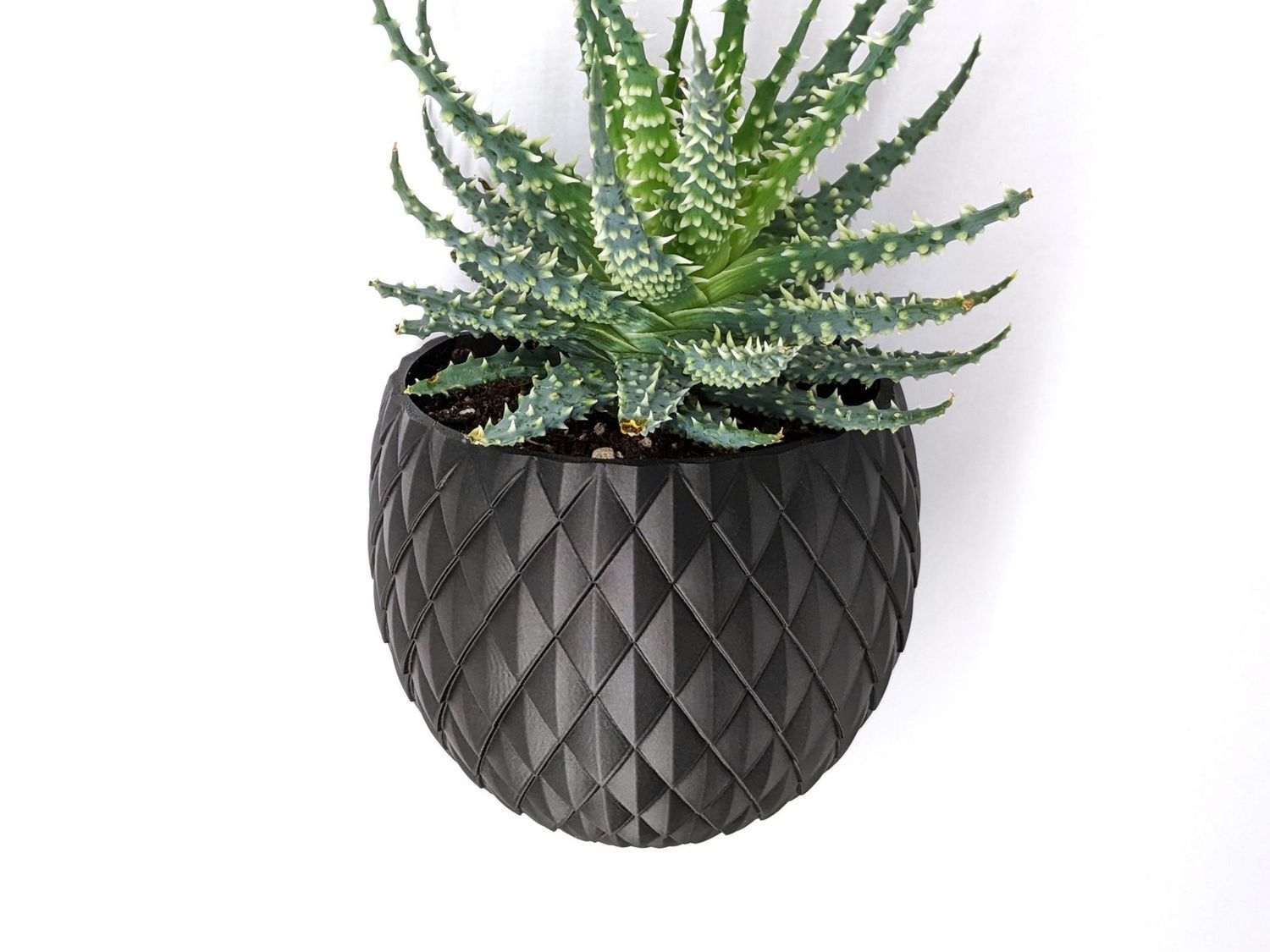Blossomscale Wall Mounted Planter