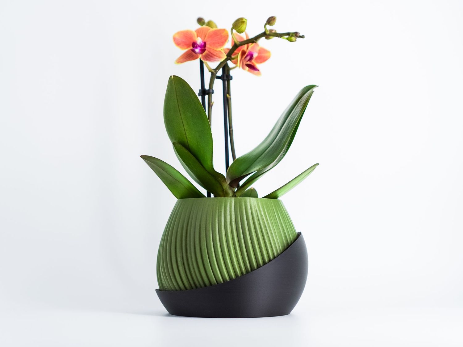 Bloomcrest Planter
