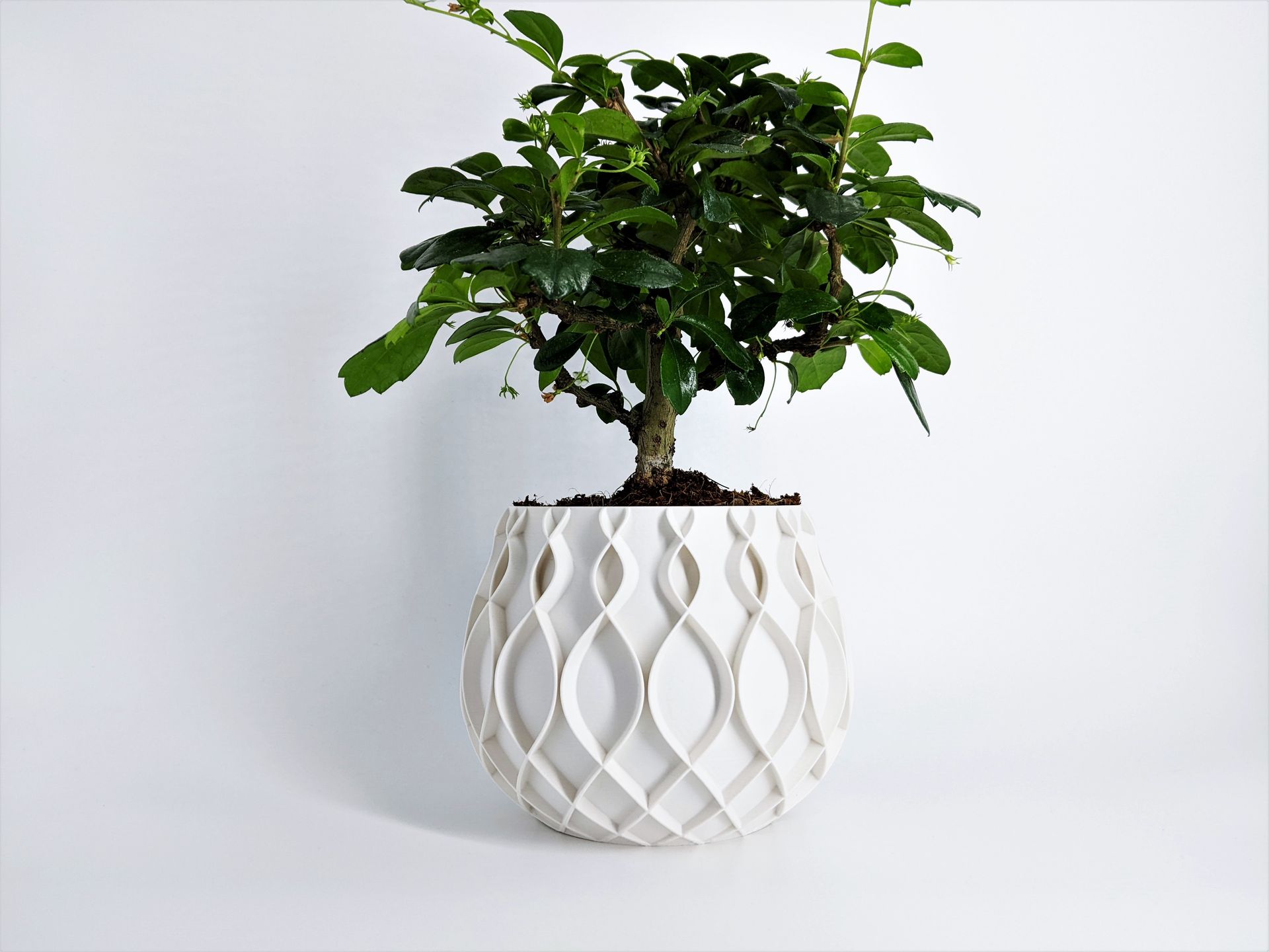 Bellvere Planter