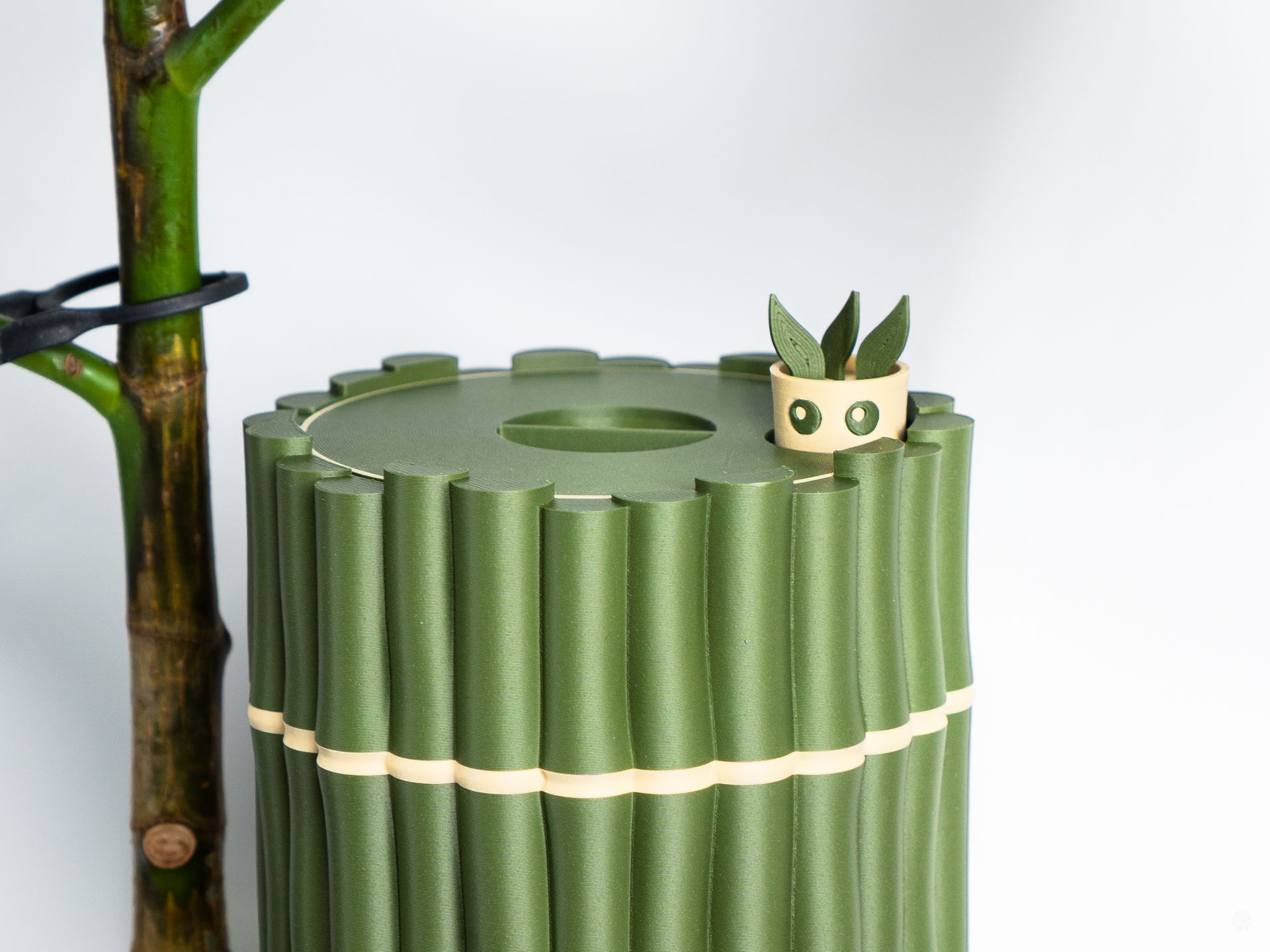 Self Watering Bamboo Buddy Spike