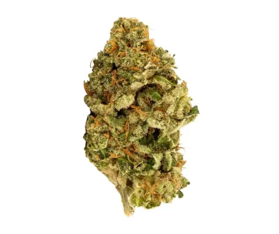 Pink Lemonade | HYBRID