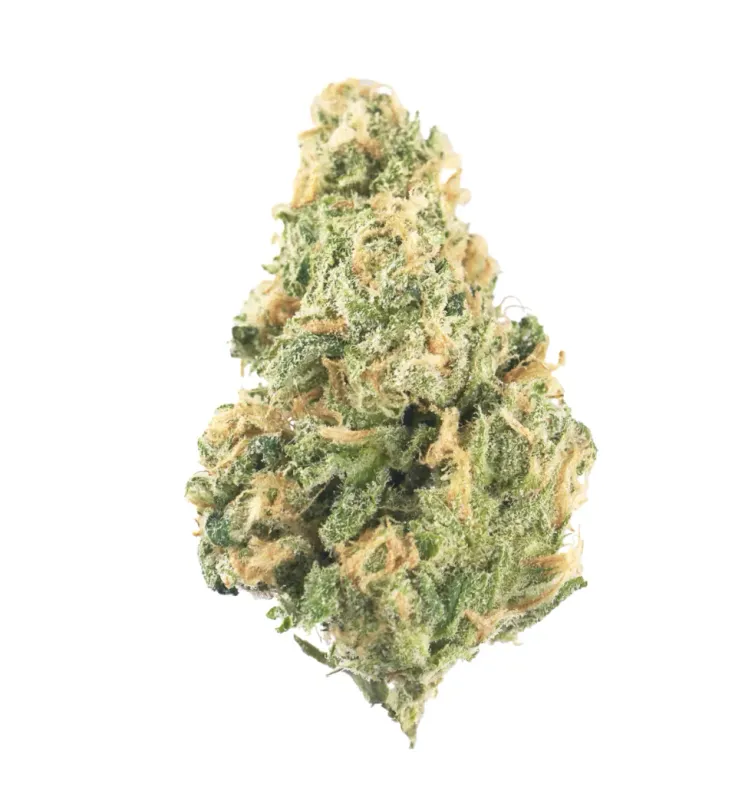 Ghost Train Haze | HYBRID