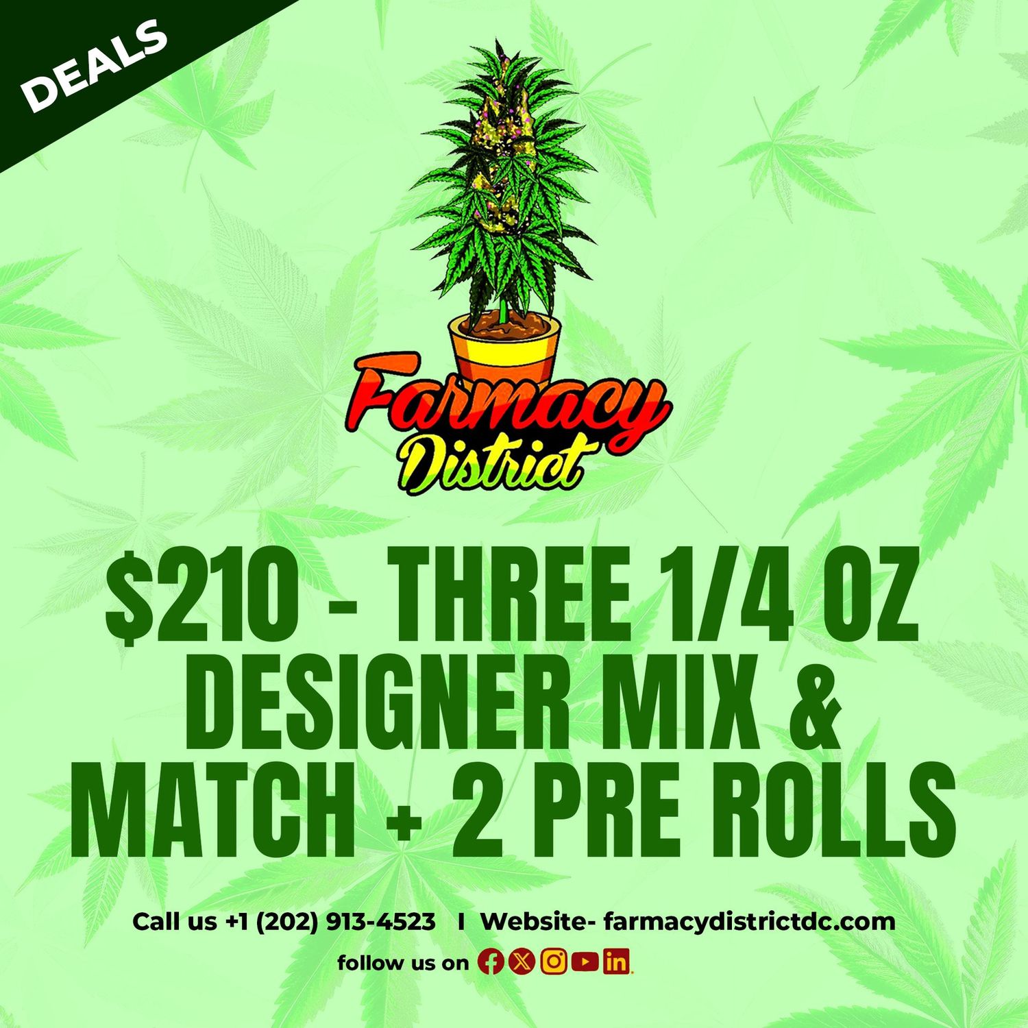 3 Quarter Oz Designer Mix & Match + 2 Pre Rolls Special
