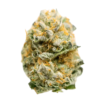 Vanilla Frosting | SATIVA