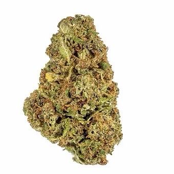 Frozen Grapes | HYBRID