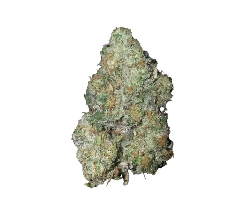 Cookie Glue | HYBRID