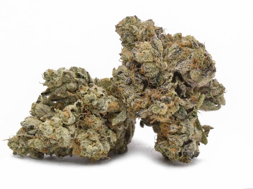 Blackberry Octane | HYBRID