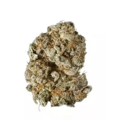 Lemon Gushers | SATIVA Lemon Gushers | SATIVA