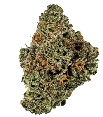 MAC TRUFFLEZ | INDICA