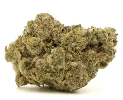 Tangerine Dream | SATIVA