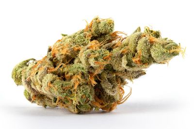 French Cookies | SATIVA