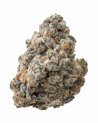 ORANGESICLE | HYBRID