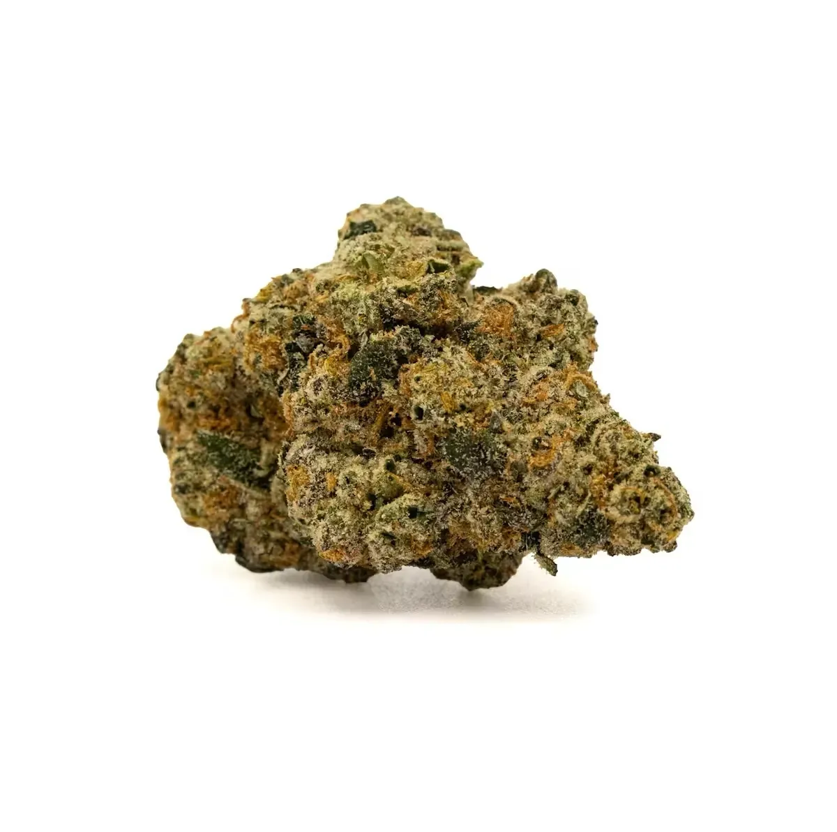 Blackberry Octane | HYBRID