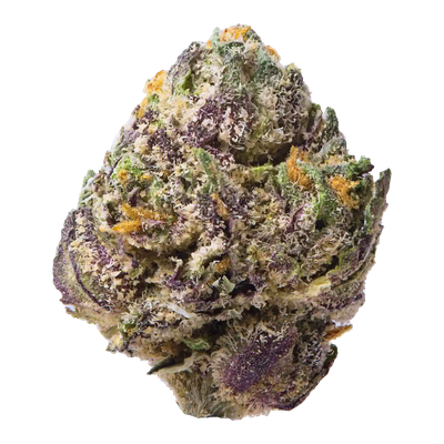 Tropical Gelato | SATIVA