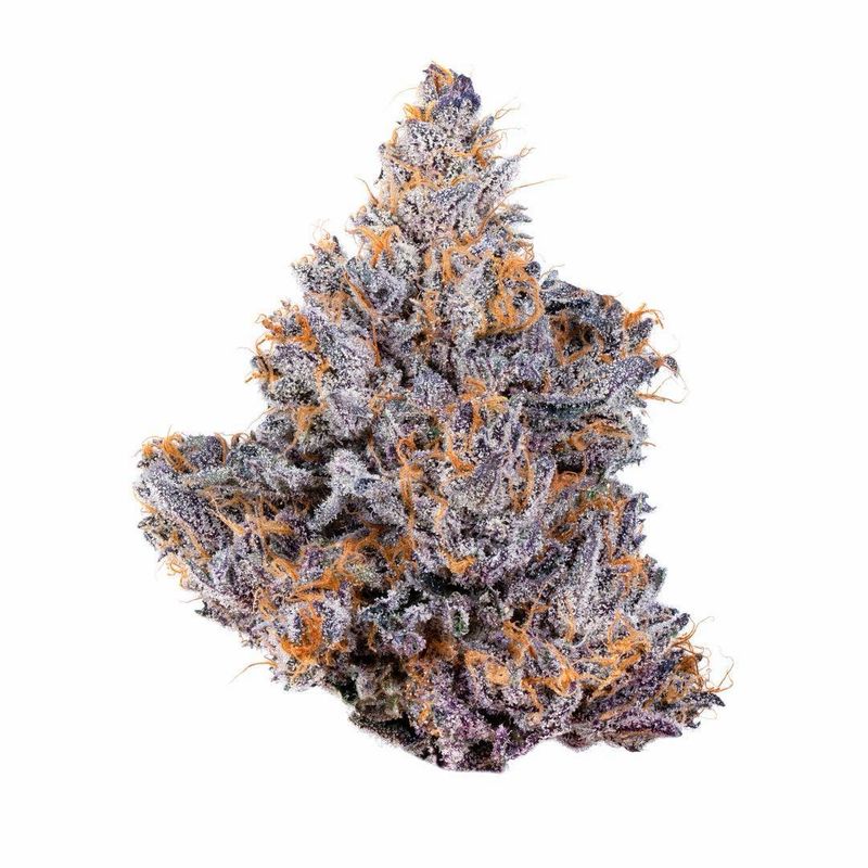 Tropical Gelato | SATIVA