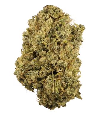 Durban Poison | SATIVA