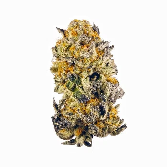Sunset Sherbet | INDICA
