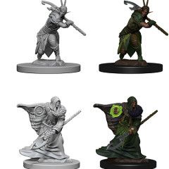 D&DNMUM Elf Druid Male W4