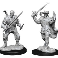 D&DNMUM Human Bard Male W15