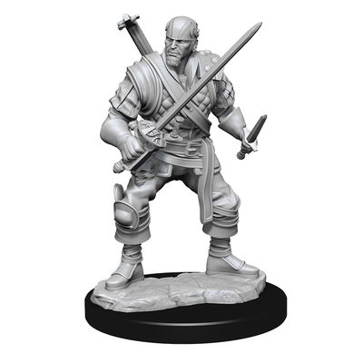 D&DNMUM Human Bard Male W15 D&DNMUM Human Bard Male W15