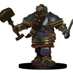 D&DIotR PF Dwarf Fighter Male W2