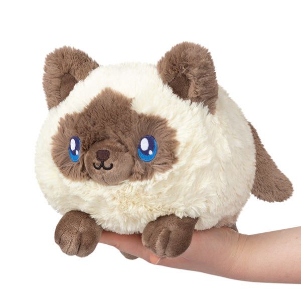 Mini Colorpoint Kitty Squishable 11"