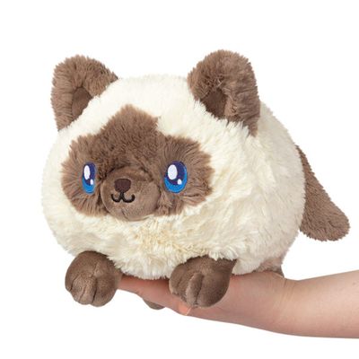 Mini Colorpoint Kitty Squishable 11"