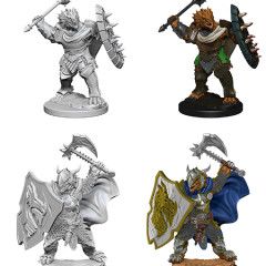 D&DNMUM Dragonborn Paladin Male W4