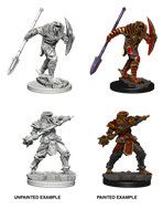 D&DNMUM Dragonborn Fighter Male W5