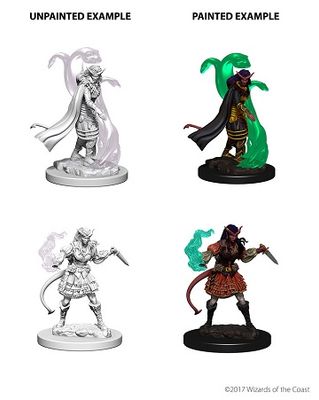 D&DNMUM Tiefling Sorcerer Female W4