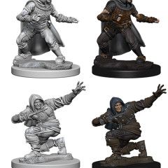 PFDCUM Human Rogue Male W1