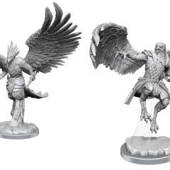 D&DNMUM Aarakocra Paladins W18