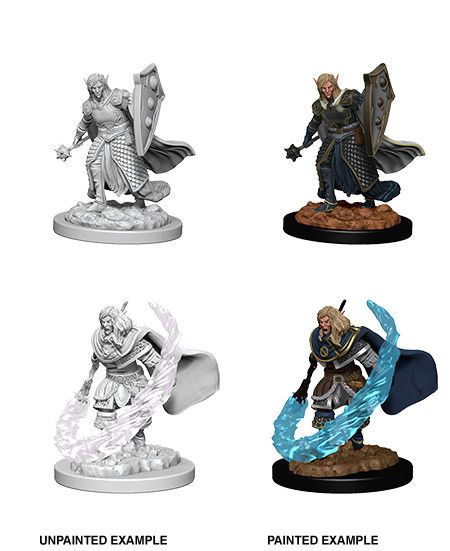 D&DNMUM Elf Cleric Male W5