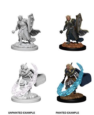 D&DNMUM Elf Cleric Male W5